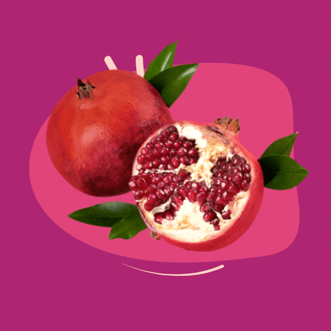 can pomegranate seeds hurt dogs