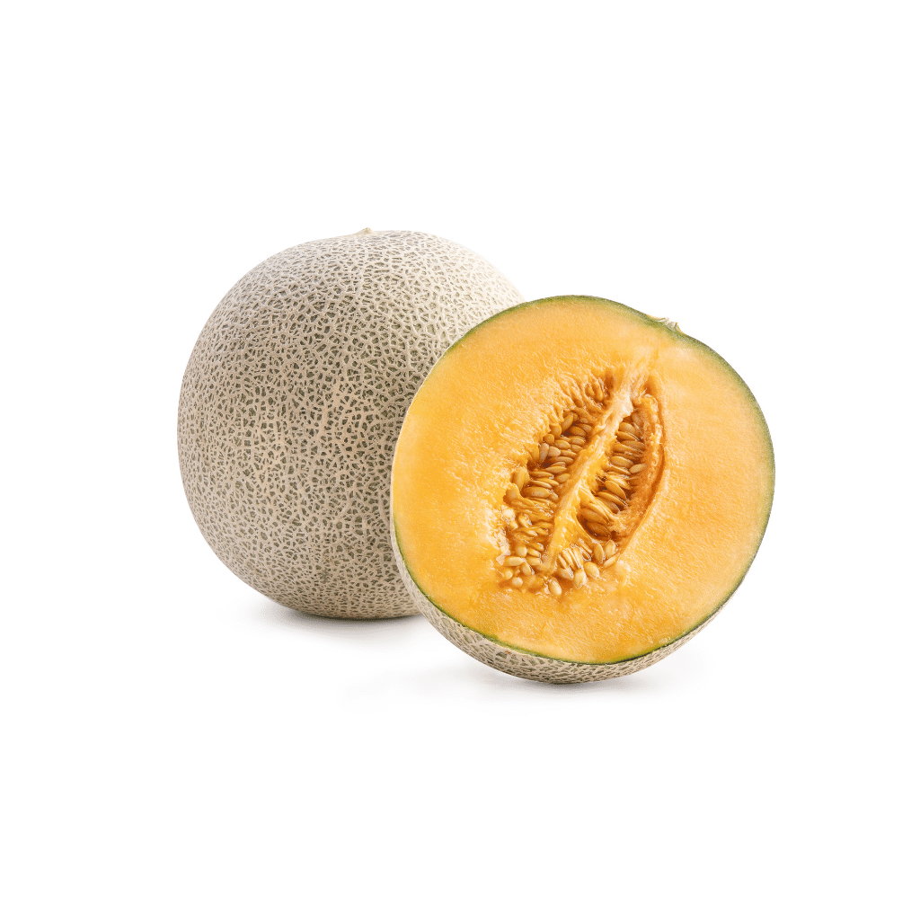 is cantaloupe bad for dogs to eat
