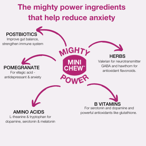 GRAPHIC SHOWING KEY ACTIVE INGREDIENTS OF BESTIE ANXIETY CHEW