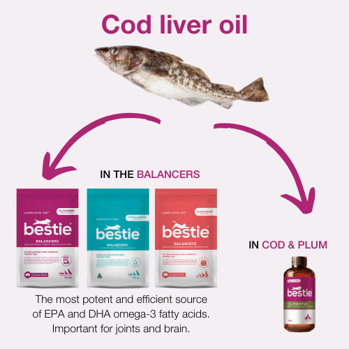 GRAPHIC SHOWING WHICH BESTIE PRODUCTS CONTAIN COD LIVER OIL