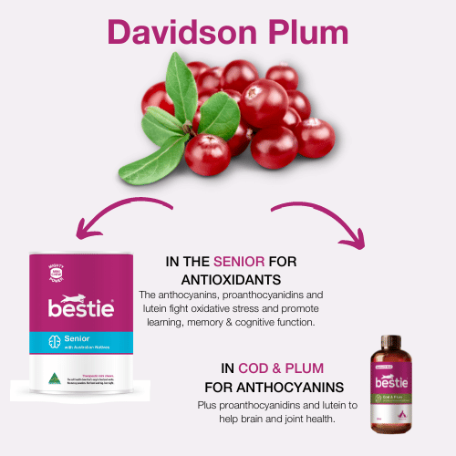 GRAPHIC SHOWING WHICH BESTIE PRODUCTS INCLUDE DAVIDSON PLUM