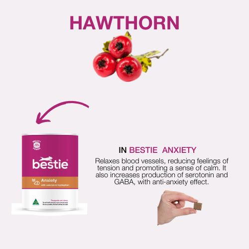 GRAPHIC SHOWING WHICH BESTIE PRODUCT INCLUDES HAWTHORN