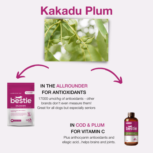 GRAPHIC SHOWING WHICH BESTIE PRODUCTS INCLUDE KAKADU PLUM  