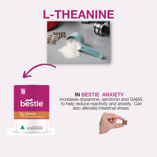 GRAPHIC SHOWING WHAT BESTIE PRODUCTS CONTAIN L-THEANINE