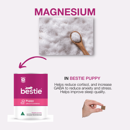 GRAPHIC SHOWING WHICH BESTIE PRODUCTS CONTAIN MAGNESIUM
