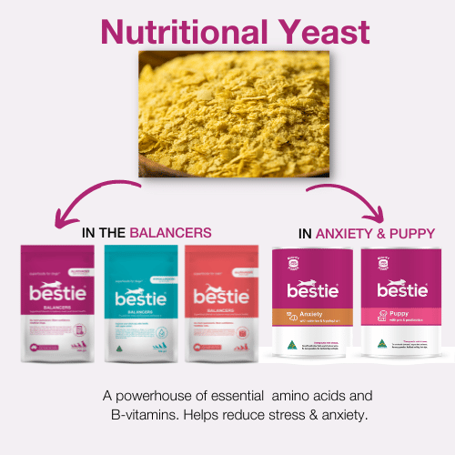 GRAPHIC SHOWING WHICH BESTIE PRODUCTS CONTAIN NUTRITIONAL YEAST