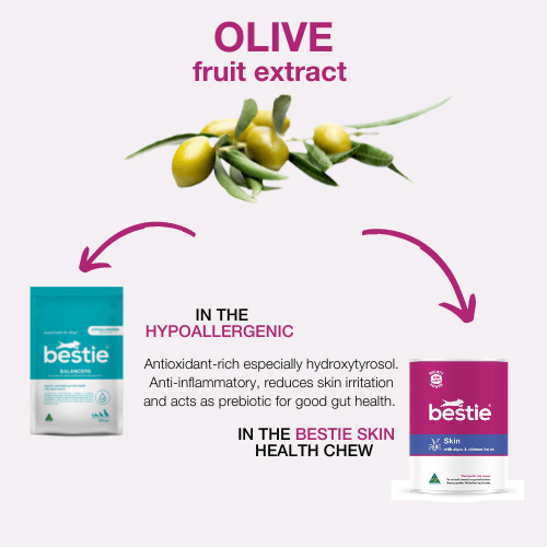 GRAPHIC SHOWING WHICH BESTIE PRODUCTS HAVE OLIVE FRUIT EXTRACT