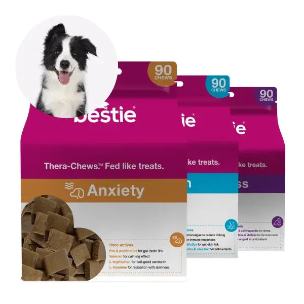 Packets of Bestie Thera-Chews for dogs, with a dog illustration on the side.