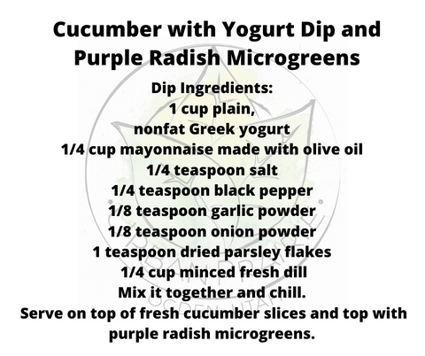 Cucumber Greek Yogurt Dip Microgreen Appetizer