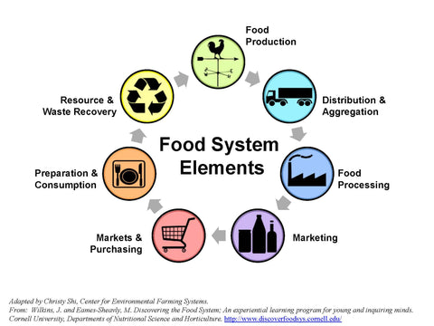 Food System Elements Diagram- Production, Distribution, Processing, Marketing, Markets, Consumption, Waste