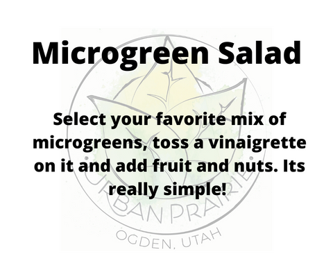 Salad Recipe easy