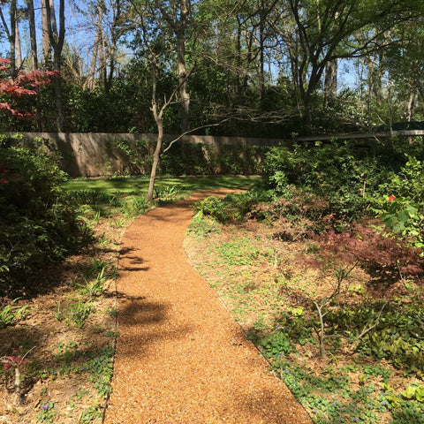 a curved path running through garden space
