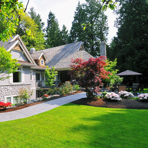 a landscaped yard with paths and garden beds