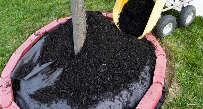 Image of mulch being poured over a weed barrier surrounding a tree