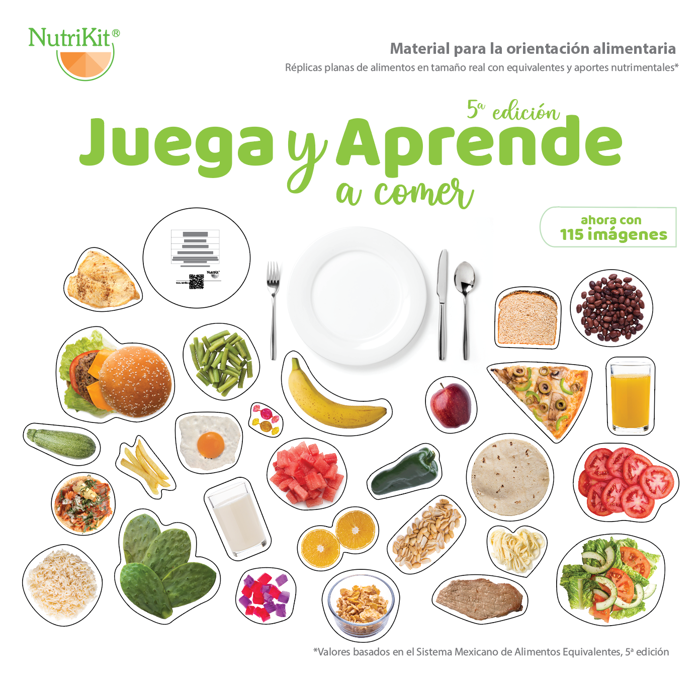 NutriKit® 115 Réplicas de Alimentos Juega y Aprende para Talleres 5aEd |  NutriKit México