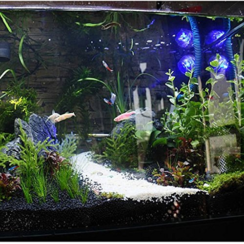 Zuiniubi 500g Transparent And Blue Color Pebble Turtle Fish Tank Sand Glass Beads Sand Rocks Aquarium Decoration Ornament Stone Landscape 1 3mm Talkingbread Co Il