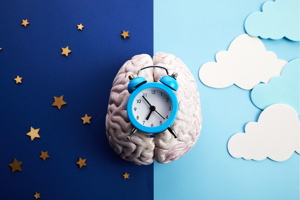 clock and brain with day and night time colored backgrounds