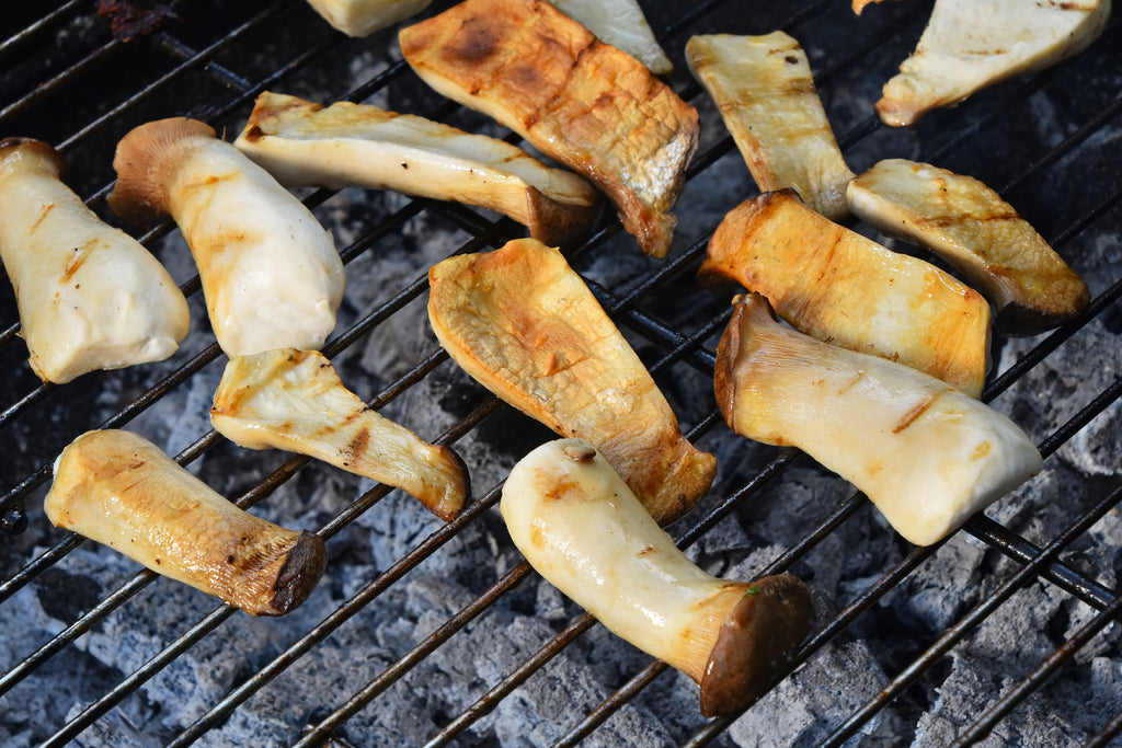 Hearty Oyster Mushrooms on the Grill