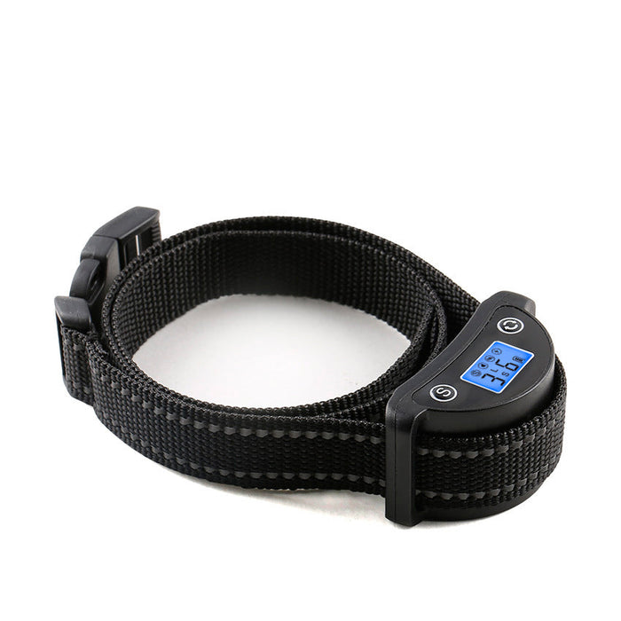 electric dog training collars