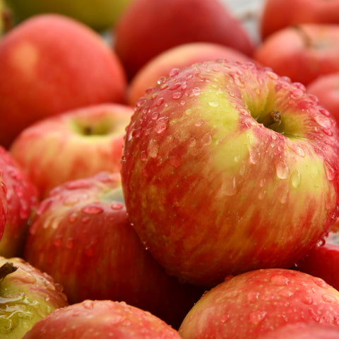 Apple Skin, Cuir vegan à base de résidus de pommes