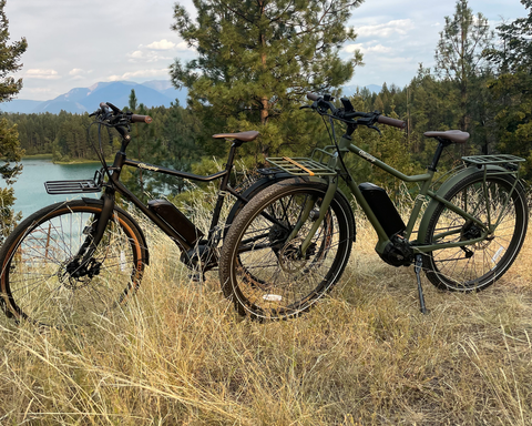 Bluejay electric bikes