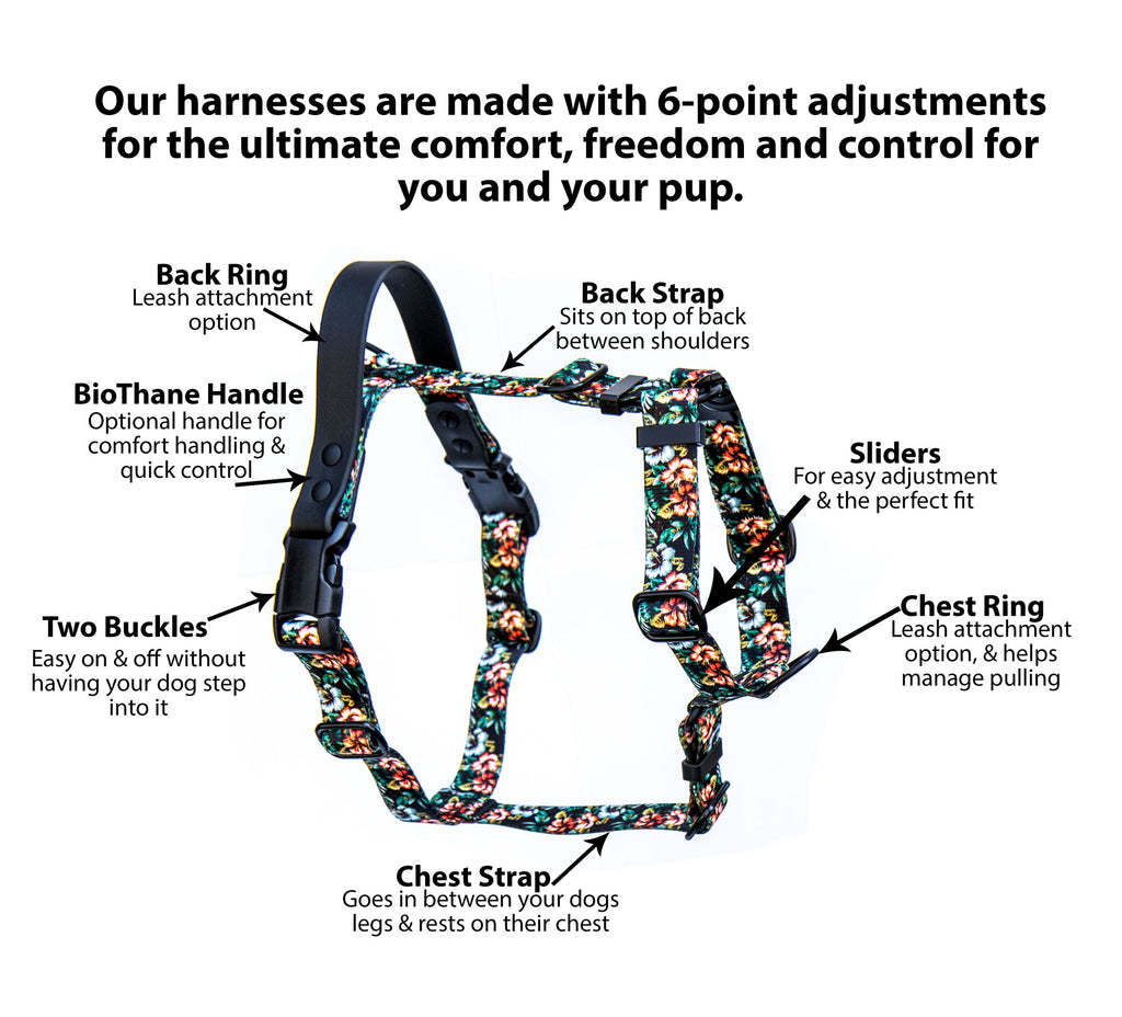 Harness Info