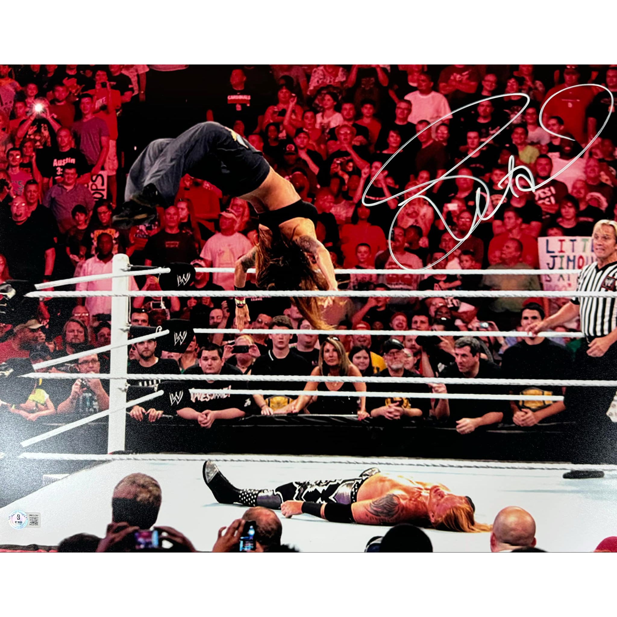 LITA Amy Dumas Autographed 16x20 Action Photo