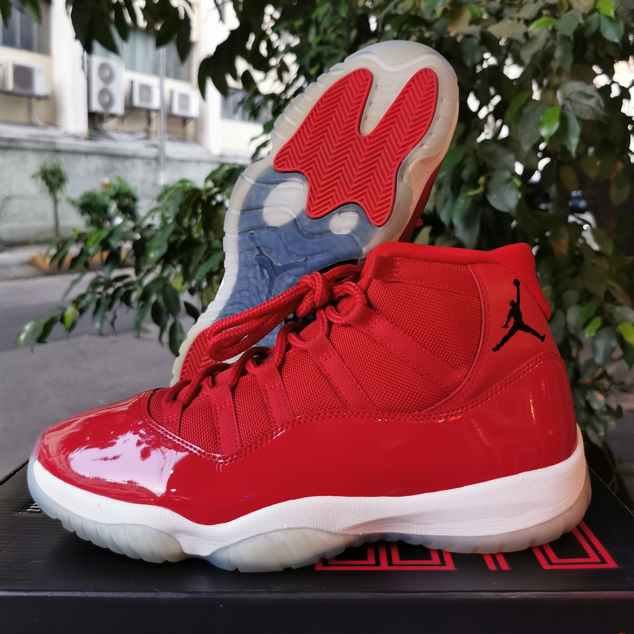 jordan 11 gym red price