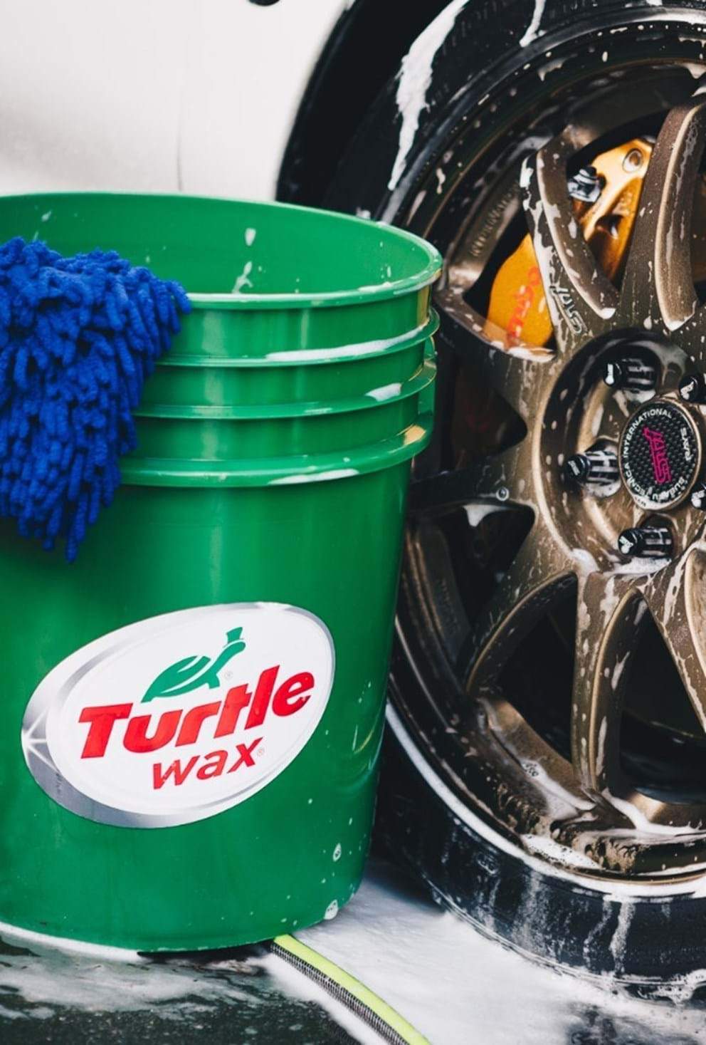 Your Guide to Turtle Car Wax