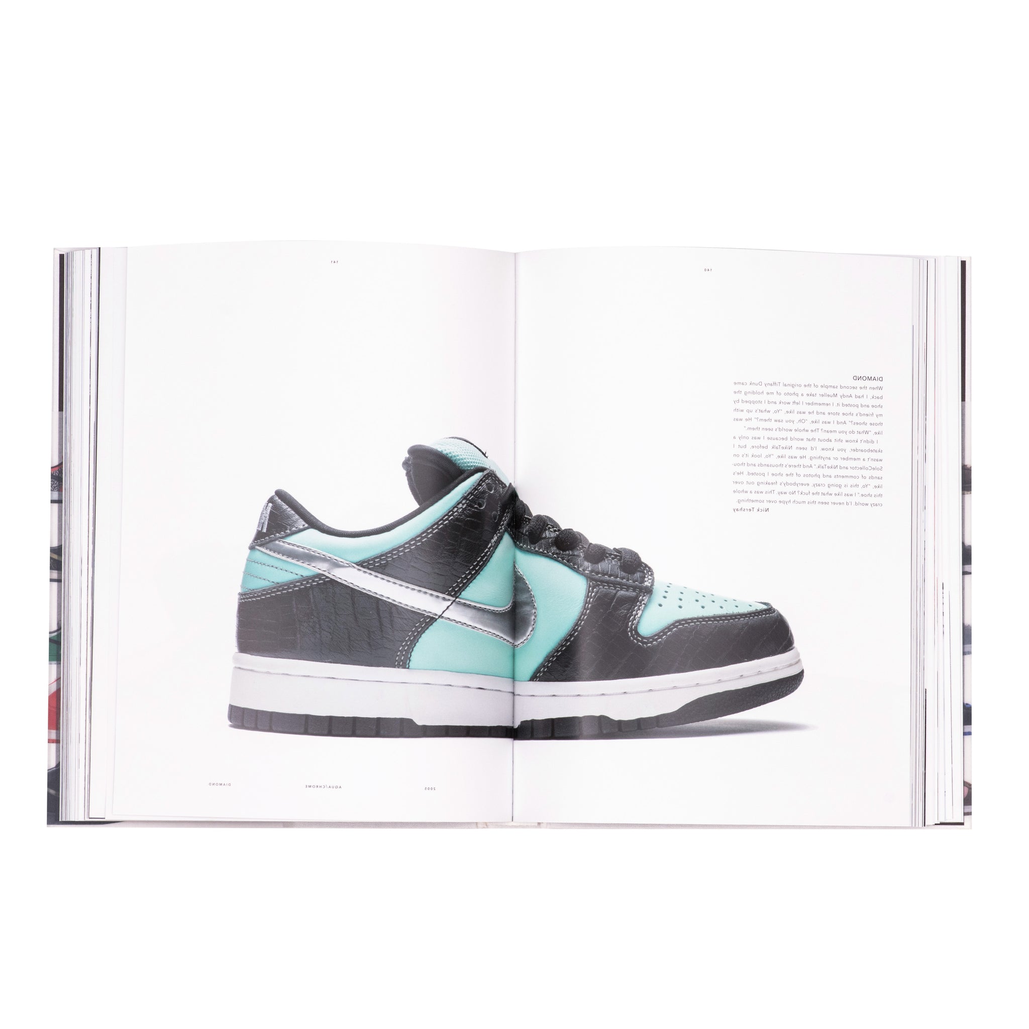 nike dunk sb book