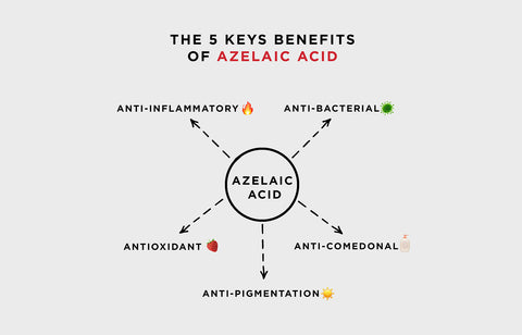 The 5 key benefits of azelaic acid, anti-inflammatory, anti-bacterial, antioxidant, anti-comedonal, anti-pigmentation