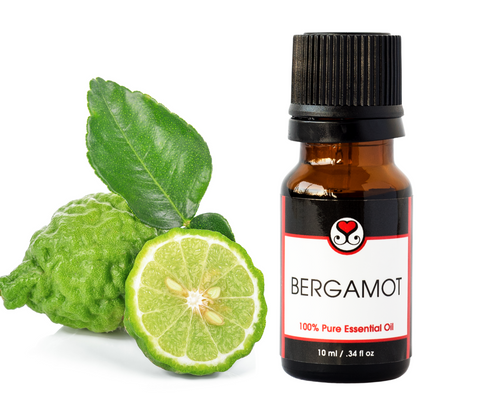 Bergamot Essential Oil