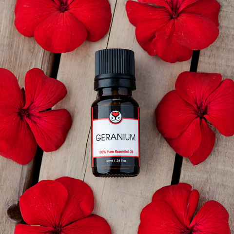 Geranium Essential Oil