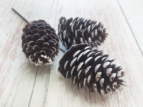 12 Metallic Pinecone Pick: Gold [85505GD] 