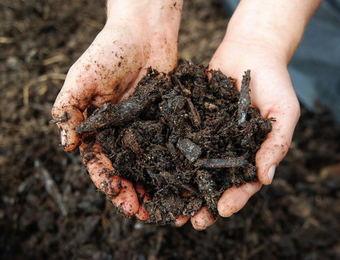 Compost - The New Denim Project & Finca San Jeronimo Miramar