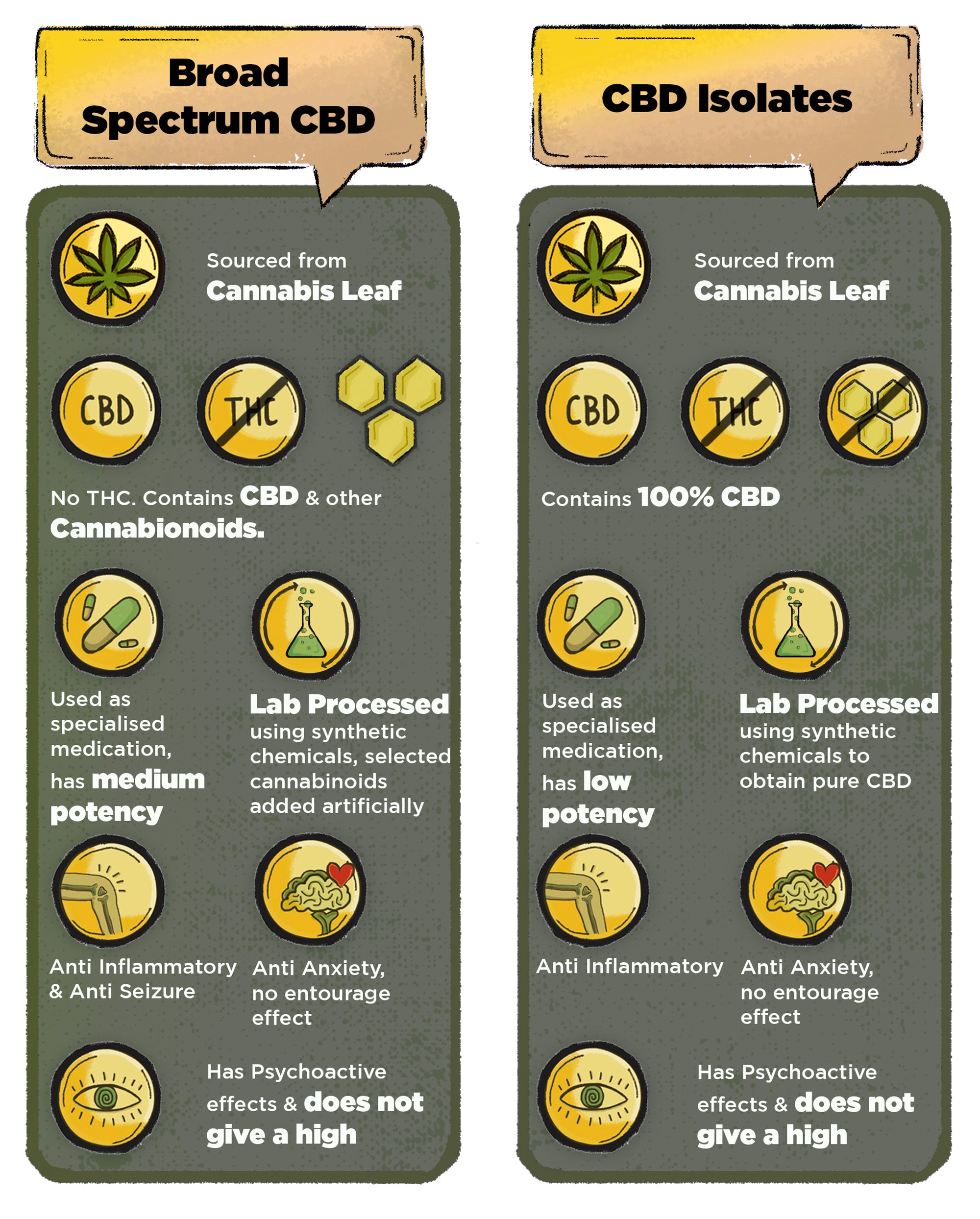 Hemp Seed Oil vs Full Spectrum CBD Oil vs Broad Spectrum CBD Oil vs CBD Isolate