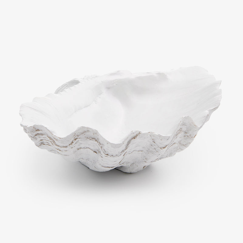 Clam Shell Resin White – Alfresco Emporium