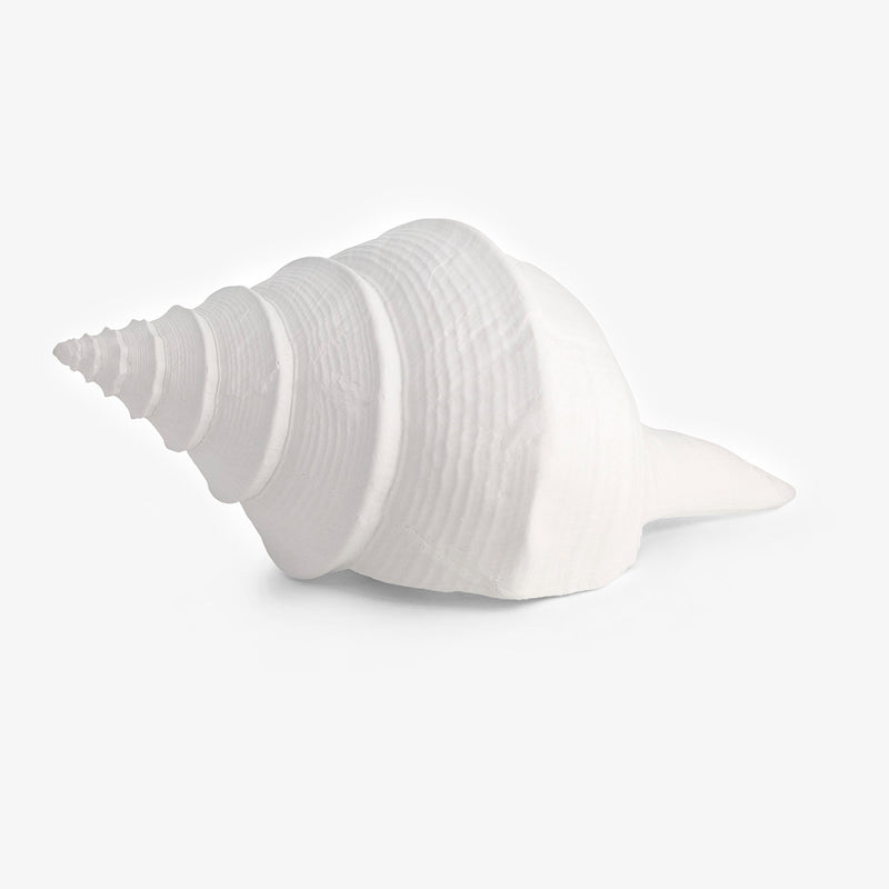 Clam Shell Resin White – Alfresco Emporium