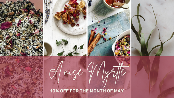 Warndu Australian Native Food | Shop all things Anise Myrtle collection