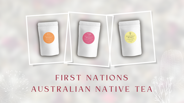 First Nations Australian Native Tea | Warndu