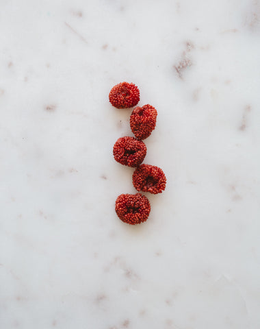 Native Raspberry | Warndu Australian Bush Tucker © Warndu Pty Ltd. Photographs by Luisa Brimble.