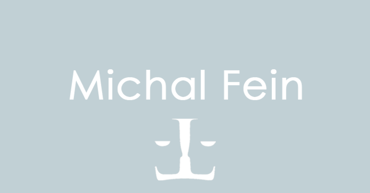 www.michalfein.com
