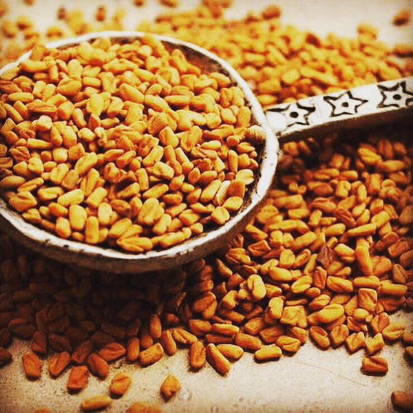 Fenugreek Seeds or Methi dana used in EltheCook Readymade Tadka (Tempered SPice blends). Shipping worldwide
