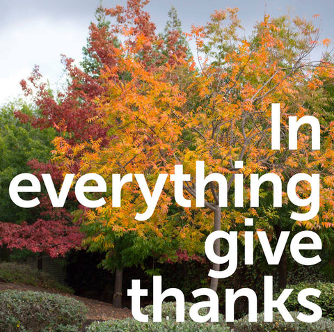 In Everything Give Thanks