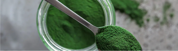 spirulina benefits