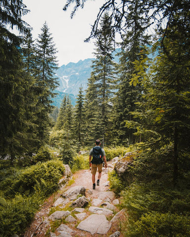 man with backpack on a hiking trail
