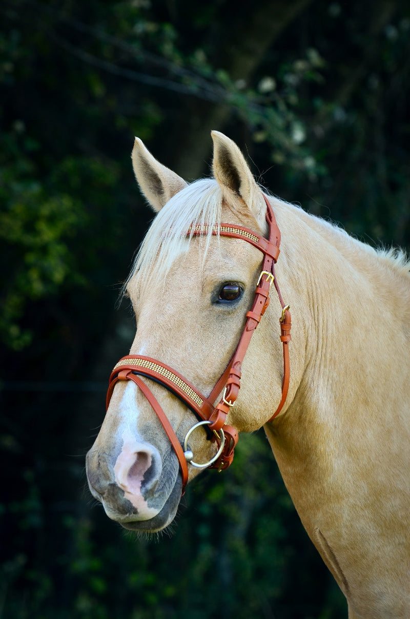 ST-BR/001 Tan Leather Bridle with Gold Diamantes