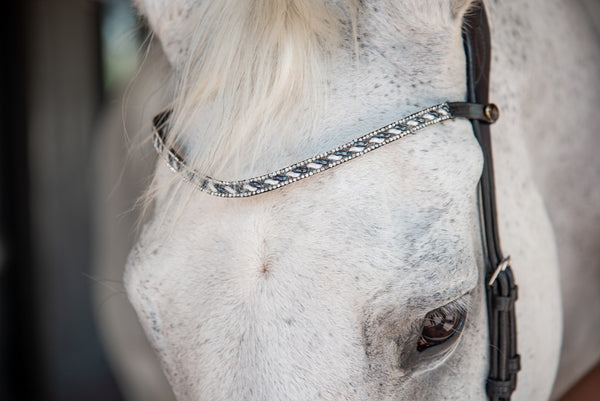 Black Leather Browband on Horse