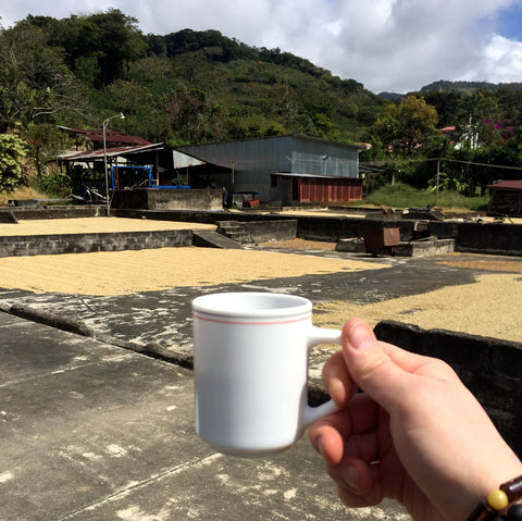 Yaro Yasel in Costa Rica sharing a cup of fair-trade zero-waste organic coffee on the family farm