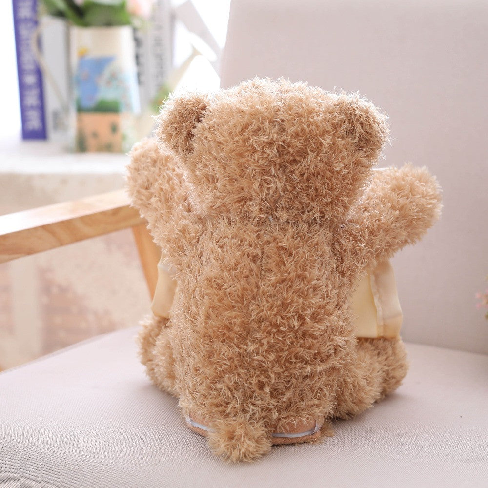 peek a boo interactive teddy